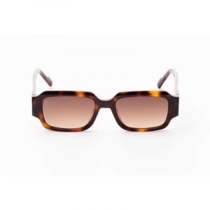 Renaissance REN XXI C3